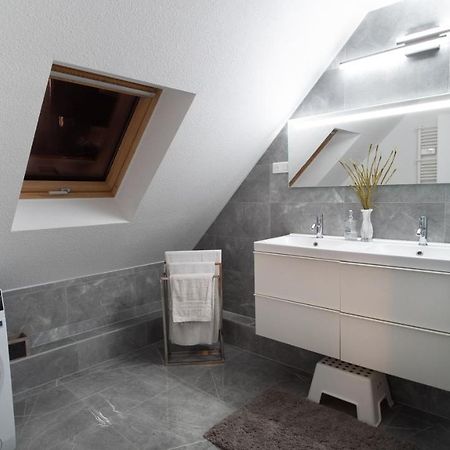 Superbe Appartement Au Coeur Du Colmar Ngoại thất bức ảnh