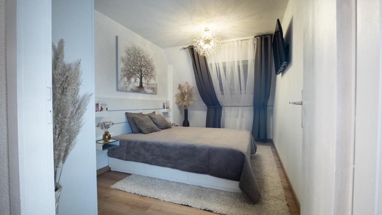 Superbe Appartement Au Coeur Du Colmar Ngoại thất bức ảnh