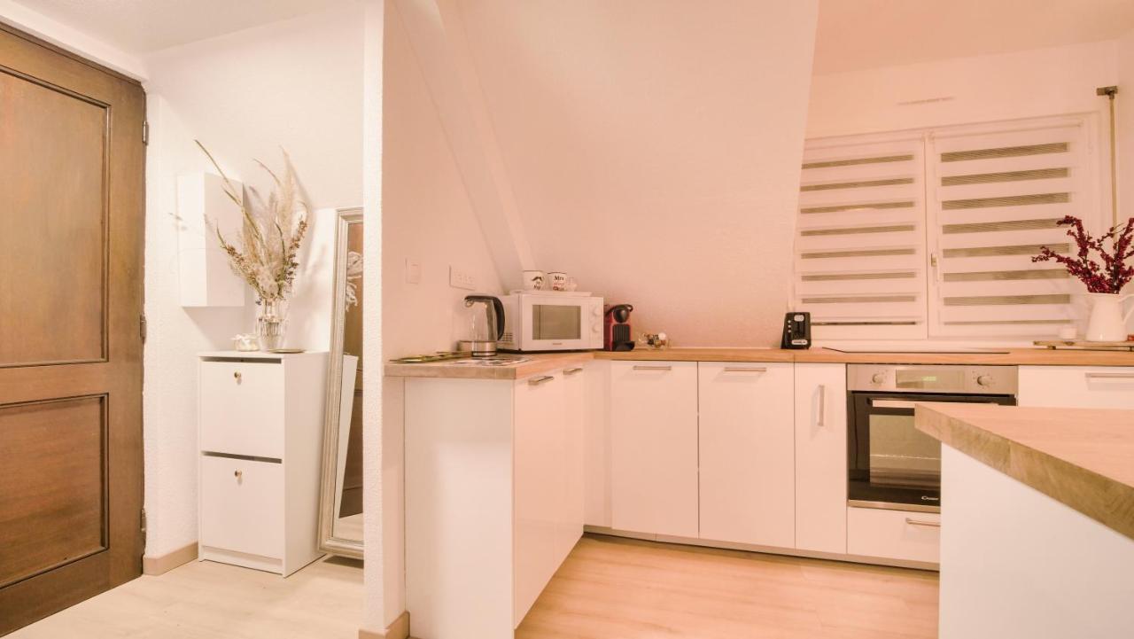Superbe Appartement Au Coeur Du Colmar Ngoại thất bức ảnh